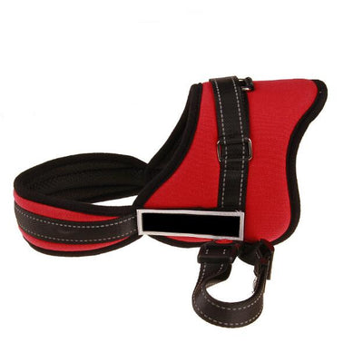 Arnés Deportivo para Perros de Pecho Ancho - Entrenamiento Profesional - Image 5