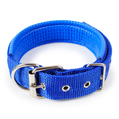 Collar para Mascotas con Forro de Cuero Suave y Espuma Protectora - Image 8