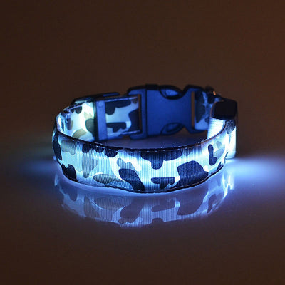 Collar Luminoso Camuflaje para Perros - Seguridad Nocturna - Image 4