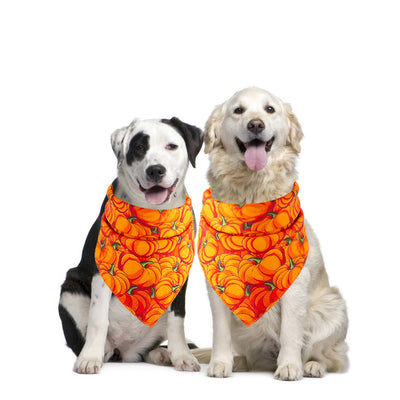 Toalla Absorbente para Mascotas Halloween - Image 12