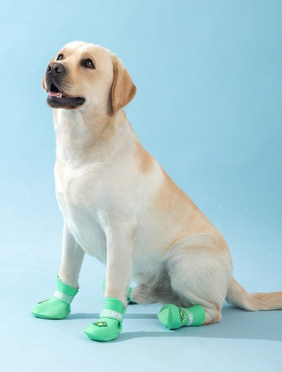 Four yellow silicone dog booties with a cartoon dog face emblem and "LUCKY" strap on a light blue background. - Image 19