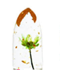 Labial Jelly Termocrómico con Lámina Dorada y Flores Transparentes - Image 6