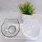 Transparente Blanco And Box