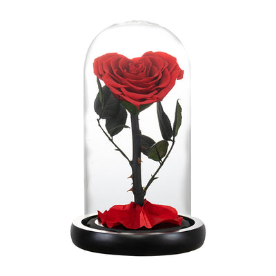 Corazón de Flores Preservadas para San Valentín - Regalo Eterno - Image 4