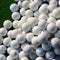 Pelota de Práctica Golf Next