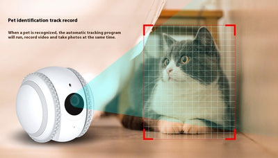 Gato Robot Inteligente con Monitoreo en Vivo - Image 12