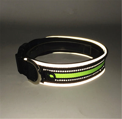 Collar Reflectante Ajustable con Velcro