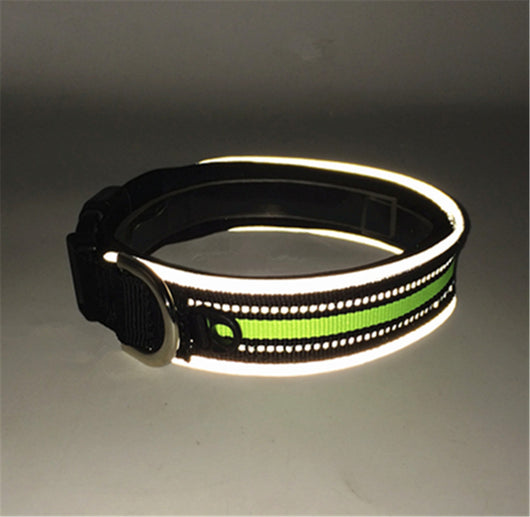 Collar Reflectante Ajustable con Velcro