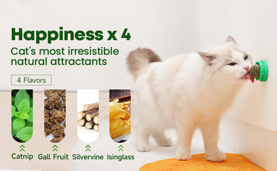Juguetes de Catnip para Gatos - Set 4 Bolas Energéticas con Silvervine y Limpieza Dental - Image 12