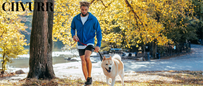 Juguetes Interactivos para Perros con Sonido Chirriante y Alfombra de Búsqueda para Entrenamiento Mental - Image 11