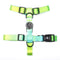 Green S