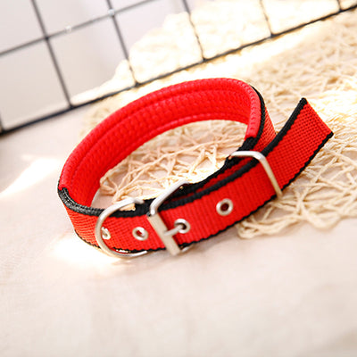 Collares Ajustables para Perros Grandes de Tamaño Compacto - Image 9