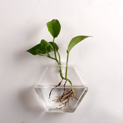 Acuario de Pared Moderno - Image 4