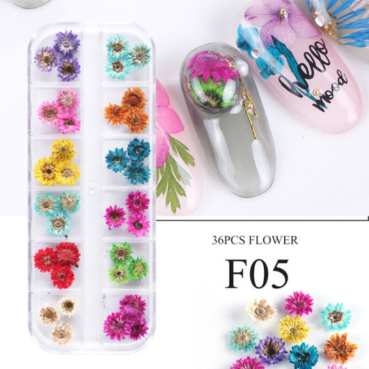Kit de Flores Secas para Decoración de Uñas - 12 Compartimentos con Margaritas y Flores Silvestres Reales - Image 11