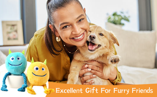 Juguetes para Perros Pequeños - Juegos Interactivos de Cuerda y Peluche con Sonido - Image 9