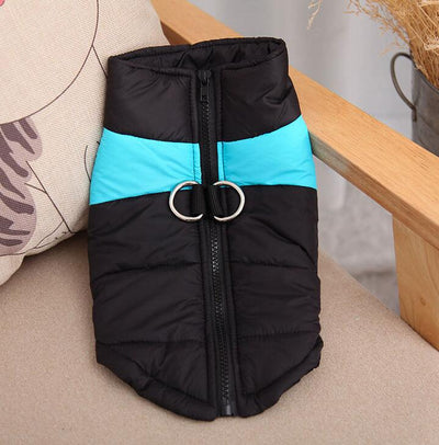 Abrigo Deportivo para Perros Otoño-Invierno | Chaleco Respirable Impermeable - Image 7