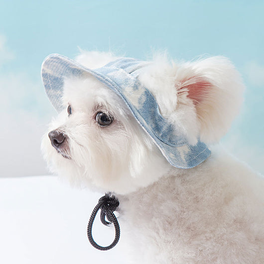 Gorra Ajustable para Perros Pequeños y Medianos con Agujeros para Orejas - Image 10