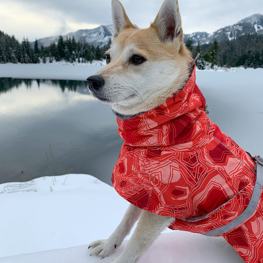 Abrigo Acolchado Impermeable para Perros Grandes - Protección Térmica Invierno - Image 13