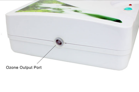 Generador de Ozono Desinfectante para Frutas y Verduras 220V 600MG