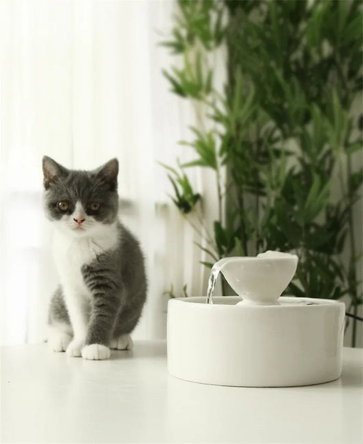 Fuente de Agua Cerámica Inteligente para Gatos con Circulación Continua - Image 7