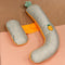 Carrot Individual Curved Pillow 130 Cm