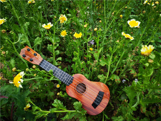 Instrumentos Musicales para Principiantes - Juguetes Educativos - Image 14