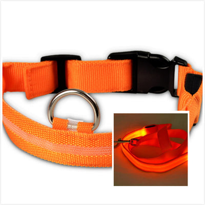 Collar LED Luminoso para Perros - Image 4