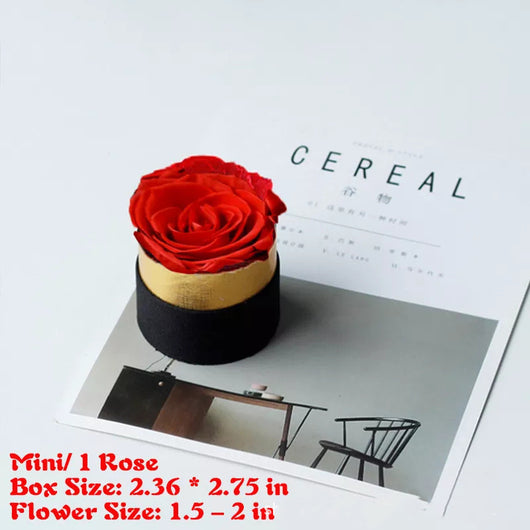 Caja de Regalo Navideña con Rosas Preservadas Hug Bucket - Image 9