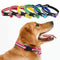 Collar Fluorescente para Perros
