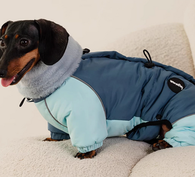 Abrigo Acolchado Térmico para Perros Salchicha - Invierno y Otoño - Image 7