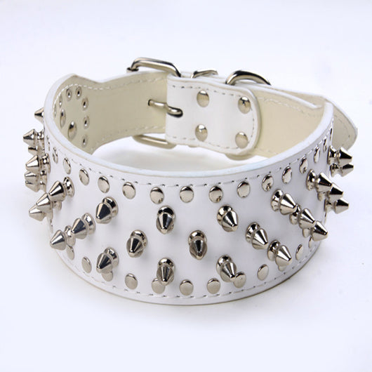 Collar Remachado para Perros Grandes - Image 9