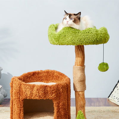 Árbol Rascador para Gatos en Madera Maciza con Juguete de Sisal Integrado - Image 2