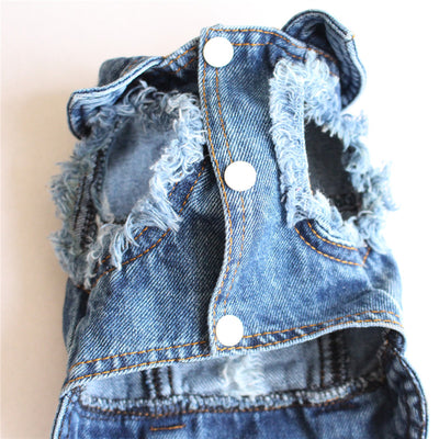 Ropa para Mascotas Denim con Flecos Rotos - Image 5