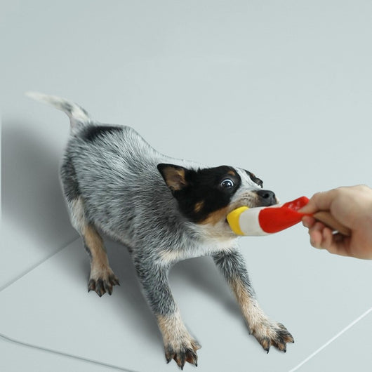 Juguete de Goma Resistente para Perros - Ideal para Masticadores Agresivos - Image 3