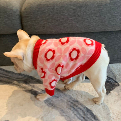 Suéter Jacquard para Perros - Abrigo Cálido Otoño e Invierno - Image 10