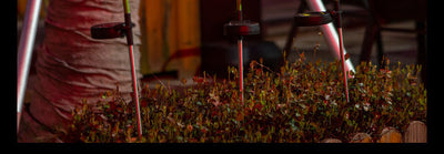Luces Solares Decorativas para Jardín con Toma de Corriente - Image 25