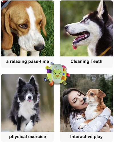 Juguetes Interactivos para Perros con Sonidos y Pelotas Chirriantes - Image 5