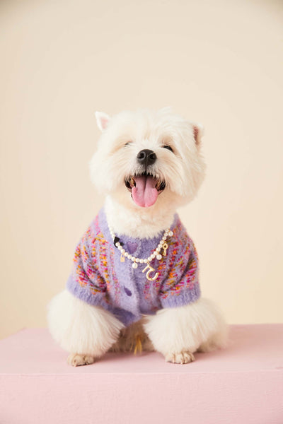 Cardigan Tejido para Perras Otoño e Invierno - Suéter Colorido - Image 35