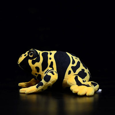 Peluche Educativo Rana Venenosa - Juguete Realista de Animal Simulado - Image 5