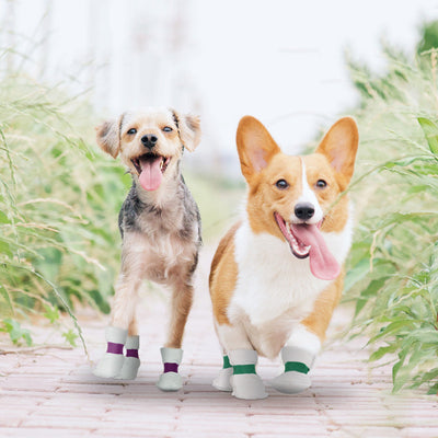 Fundas Protectoras Desechables para Mascotas - Impermeables y Antisuciedad
