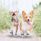 Fundas Protectoras Desechables para Mascotas - Impermeables y Antisuciedad