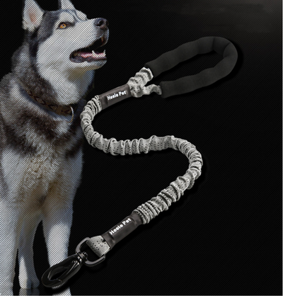 Cuerda Elástica de Tracción para Perros