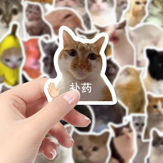 110 cute and funny cat stickers featuring various breeds and humorous poses, perfect for decorating laptops, water bottles, and journals. - Image 2