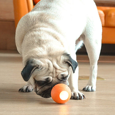 Orange smart rolling ball cat toy with a glowing blue-green light, designed for interactive play and boredom relief. - Image 6