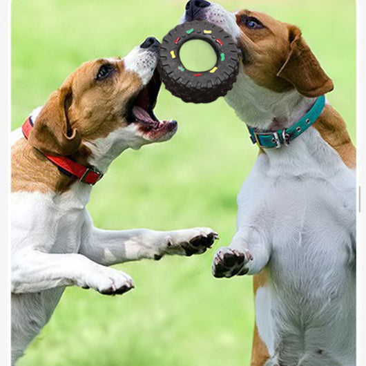 Juguete Interactivo Sonoro para Perros - Pelota con Chirridos - Image 9