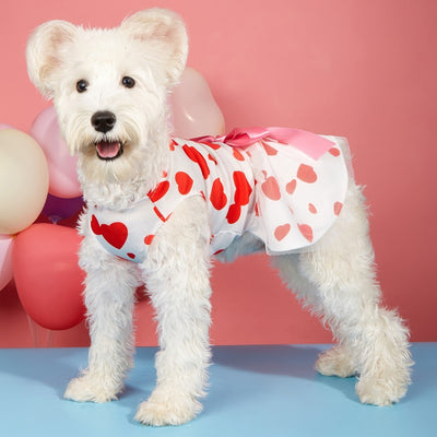 Vestido Estampado Día del Amor para Mascotas - Perros y Gatos
