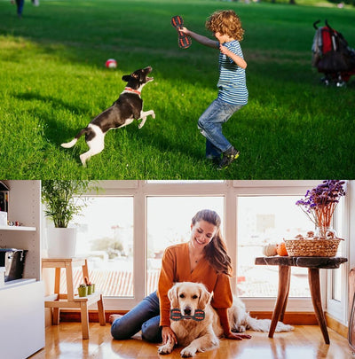 Juguete Masticable Indestructible para Perros Grandes - Forma Mancuerna con Sonido - Image 4