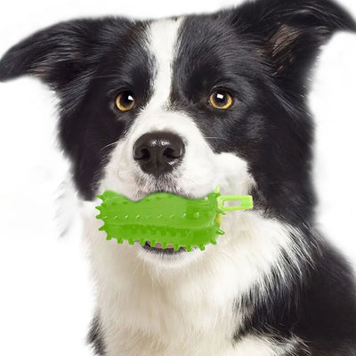 Juguete Interactivo para Dentición de Perros con Diseño de Chile - Image 9