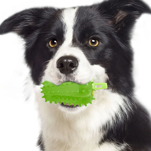 Juguete Interactivo para Dentición de Perros con Diseño de Chile - Image 9