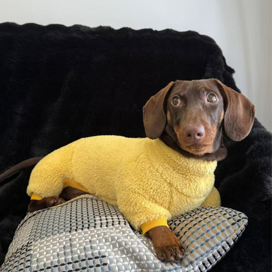 Abrigo Térmico para Perros Salchicha - Invierno Cálido y Resistente